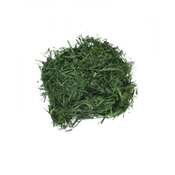 Foliage Gazon, punga 15g, Colorarte