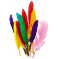 Accesorii creatie Colorarte - pene 12/15cm 16 bucati/set